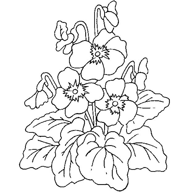 taking care flower coloring pages - photo #40