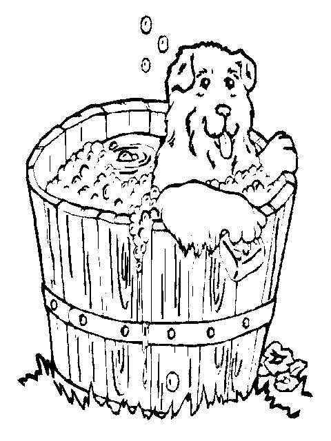 Print Hond in het bad kleurplaat