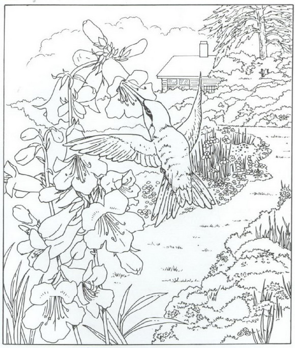 zen coloring nature pages - photo #44
