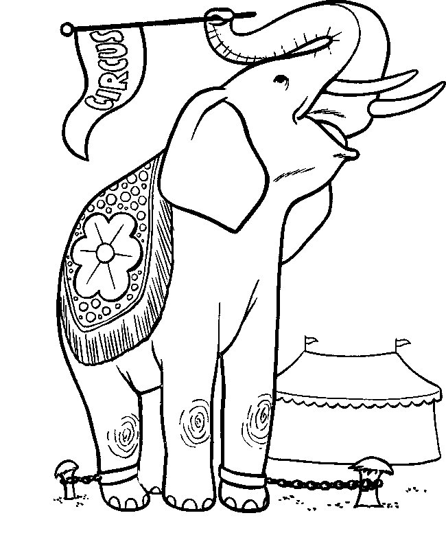 Print Circus olifant kleurplaat