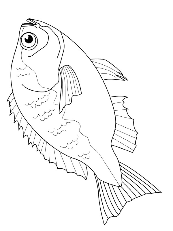 ocean fish coloring pages to download - photo #18