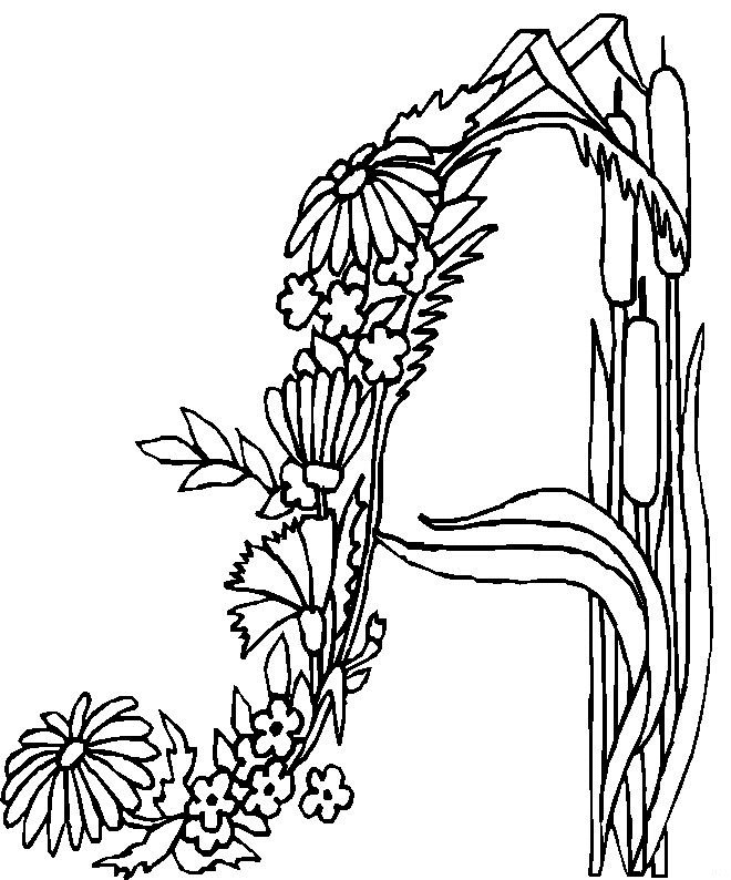 Alfabet bloemen
