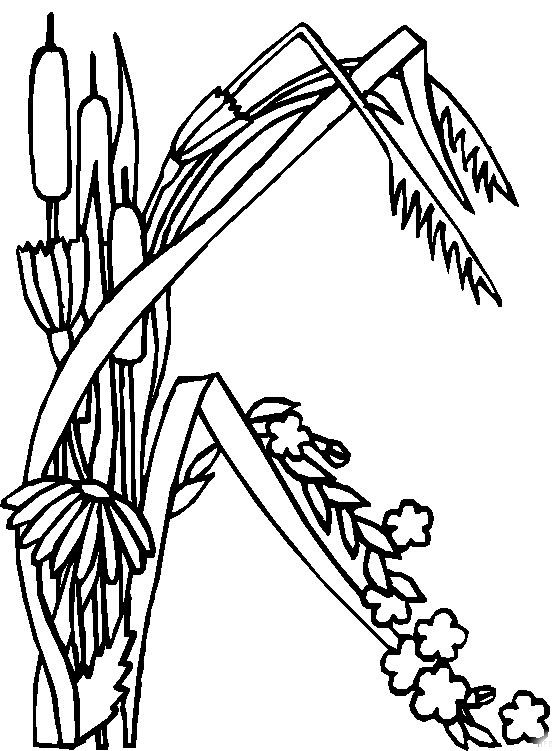 K, kleurplaat van Alfabet bloemen