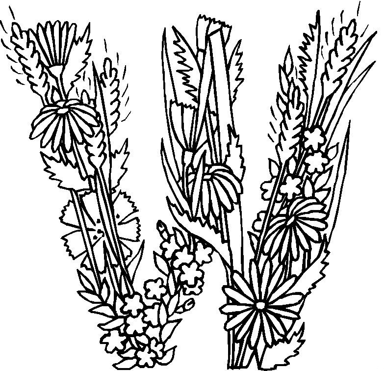 W, kleurplaat van Alfabet bloemen