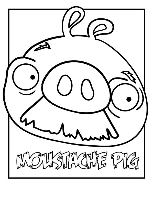 moustache pig