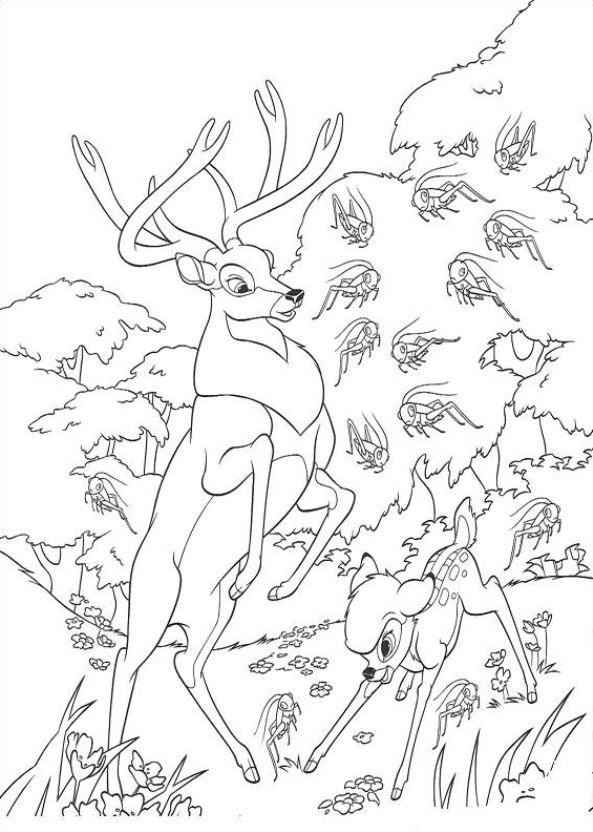 Bambi en zijn vader 3, kleurplaat van Bambi 2