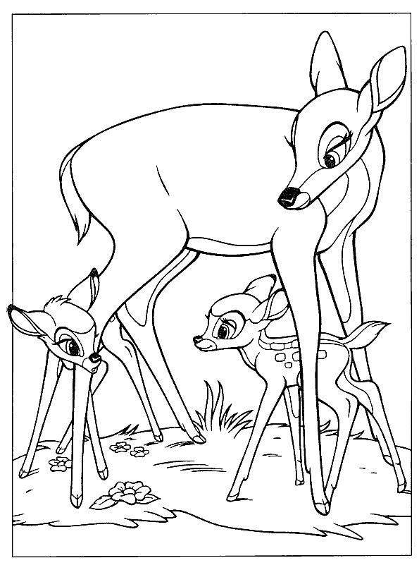 Bambi, Feline en z'n moeder