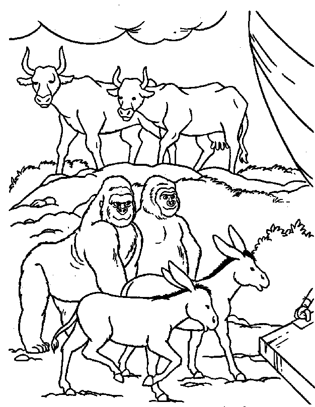 De ezels op de ark