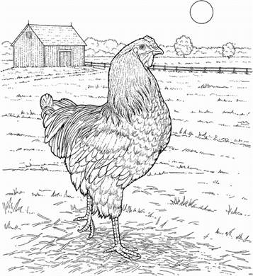 Op de boerderij