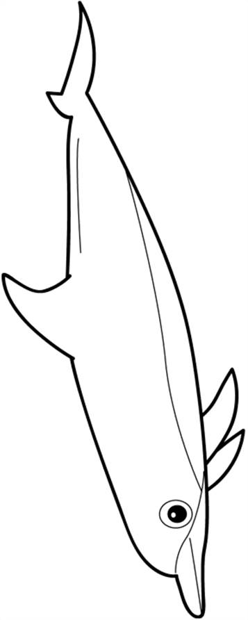 Dieren