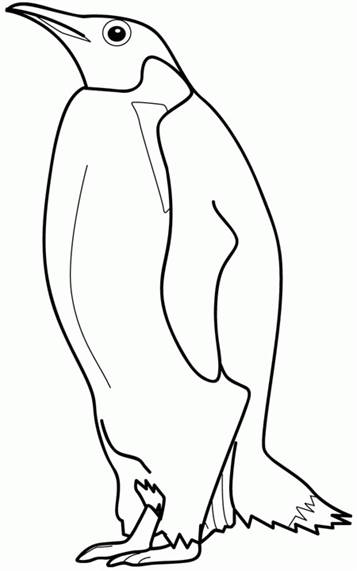 Pinguin, kleurplaat van Dieren