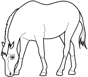 Paard, kleurplaat van Dieren