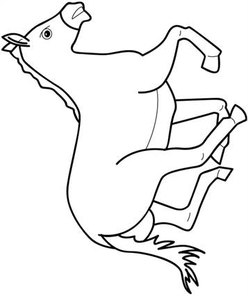Paard, in gallop, kleurplaat van Dieren