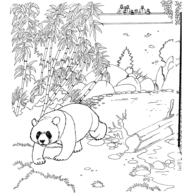 Print Panda beer kleurplaat