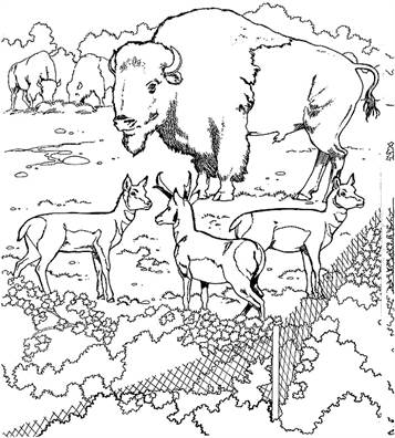 Dierentuin