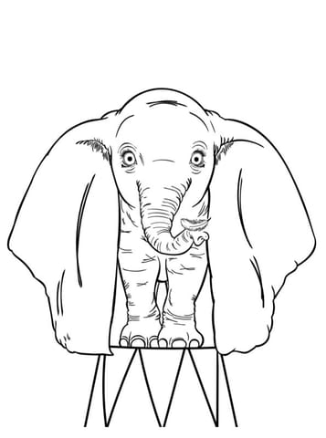 Dumbo 2019
