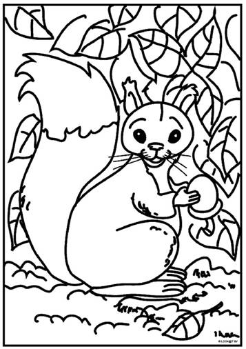 Eekhoorn