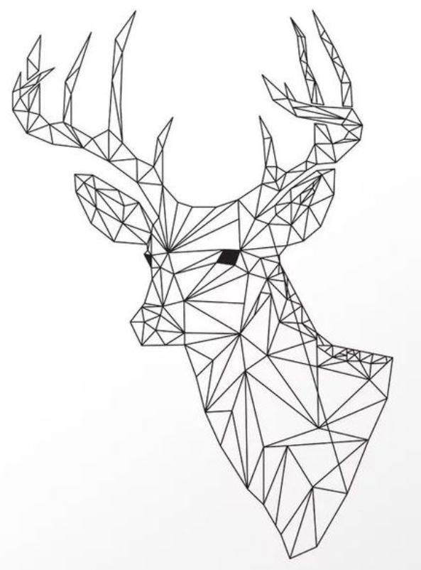 Print deer 2 kleurplaat
