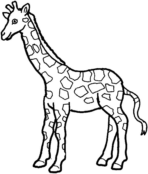 Print Giraffe kleurplaat