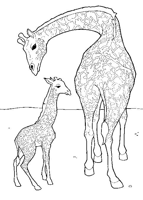 Print Giraffe met jong kleurplaat