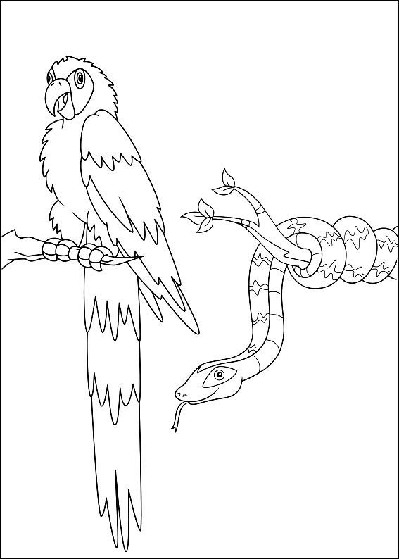 Print Papagaai en slang kleurplaat