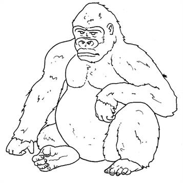 Bokito de Gorilla