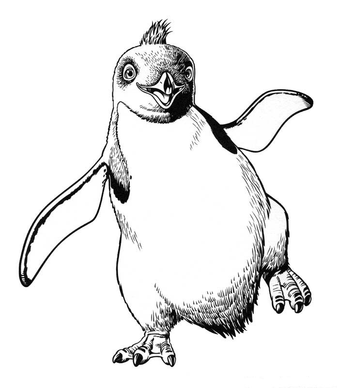 Happy Feet 6, kleurplaat van Happy Feet