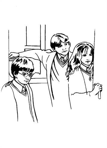 Harry Potter en de Steen der Wijzen