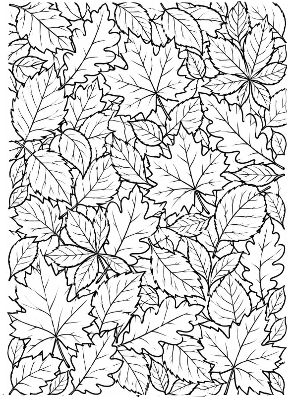 blaadjes, kleurplaat van Herfst doodles