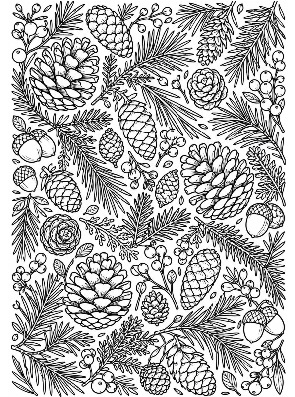 dennenappels, kleurplaat van Herfst doodles