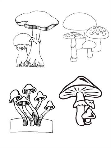 Paddestoelen 1, kleurplaat van Herfst