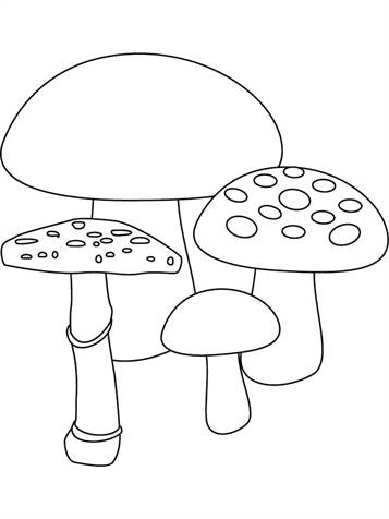 Paddestoelen 2, kleurplaat van Herfst