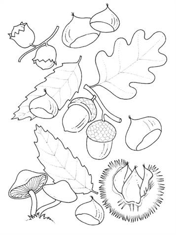 Herfst 14, kleurplaat van Herfst