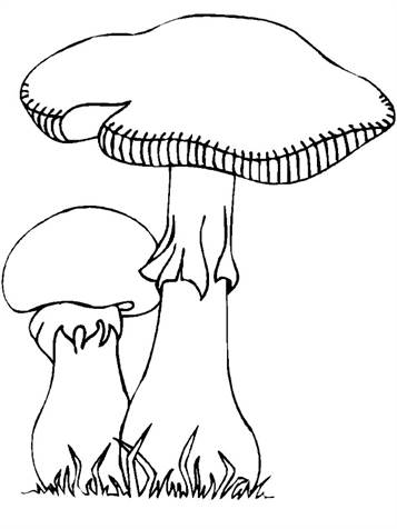 Paddestoelen 4, kleurplaat van Herfst