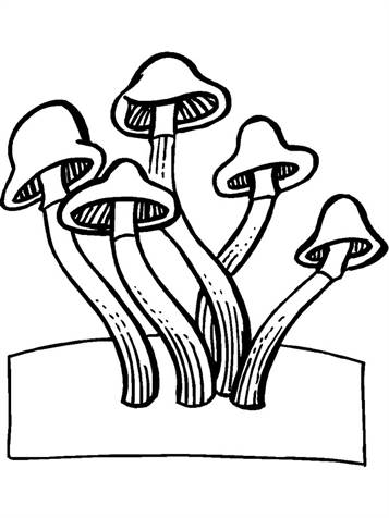 Paddestoelen 5, kleurplaat van Herfst