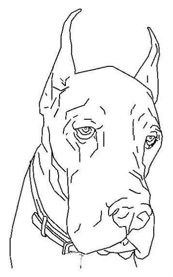 Hond 2, kleurplaat van Honden