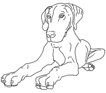 Hond 3, kleurplaat van Honden