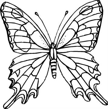 Insecten
