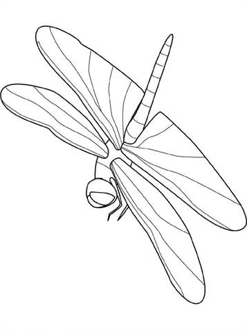 Libelle 1, kleurplaat van Insecten