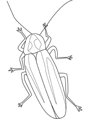 Vluurvlieg, kleurplaat van Insecten
