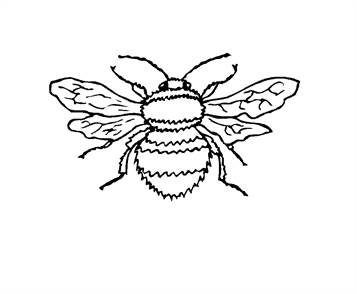 Bij 1, kleurplaat van Insecten