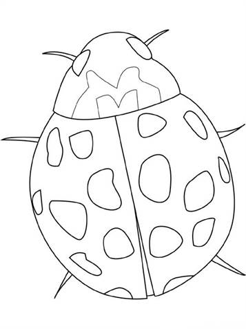 Lieveheersbeestje, kleurplaat van Insecten