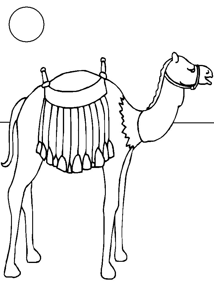 Print Kamelen kleurplaat