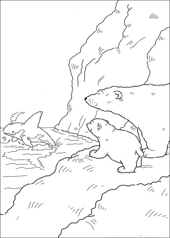 Kleine ijsbeer en orca, kleurplaat van Lars de kleine ijsbeer