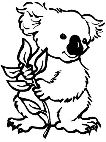 Koala beertjes 1, kleurplaat van Koala beertjes