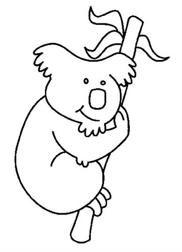 Koala beertje 4, kleurplaat van Koala beertjes