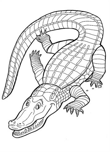 Krokodillen