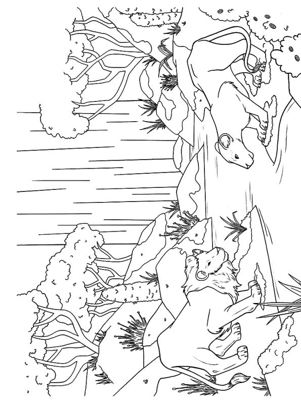 Simba Nala 2, kleurplaat van Lion King 2019