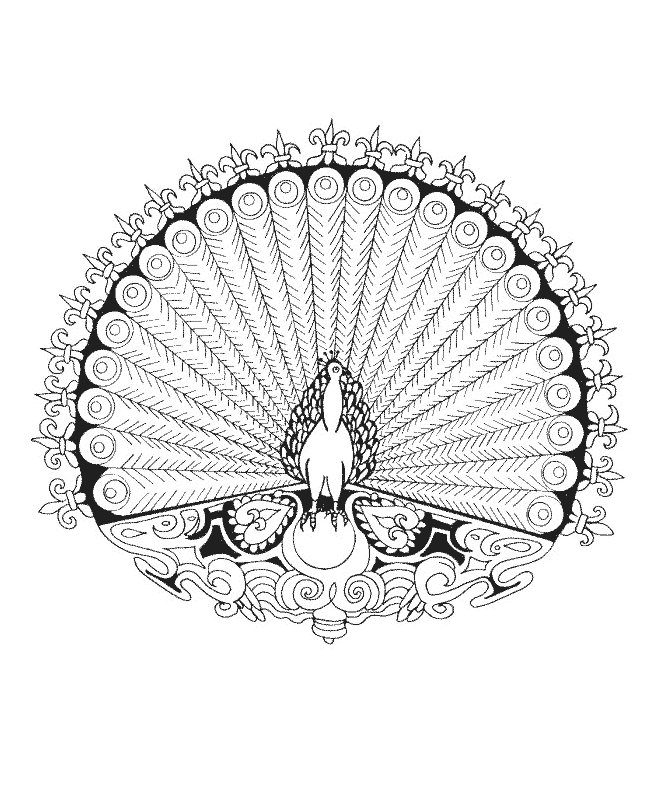 Mandala pauw