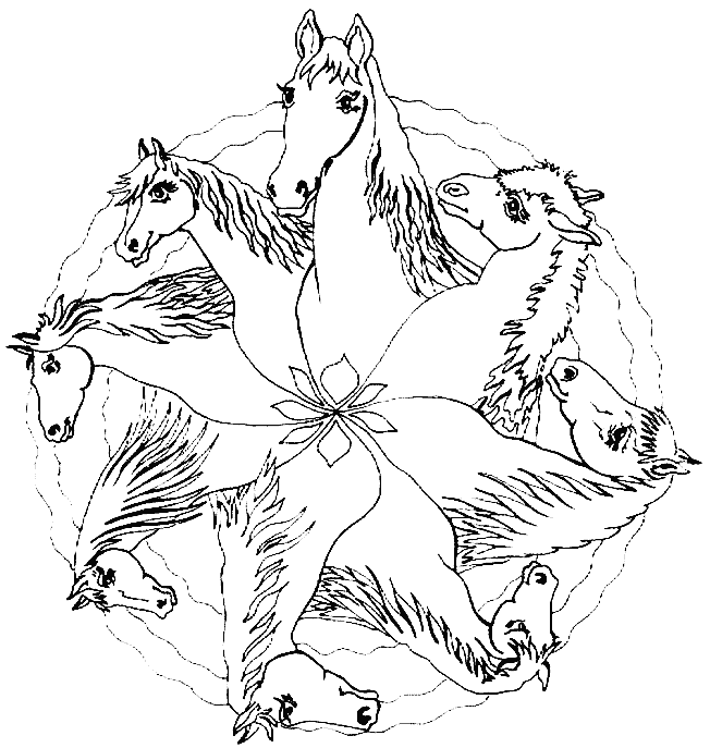 Mandala paarden